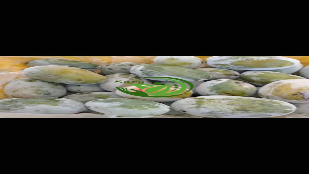 IQF Frozen Mango Export from Egypt